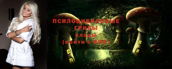 трава Куйбышев