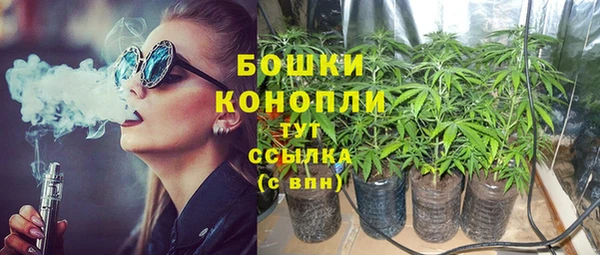 прущие крисы Кулебаки