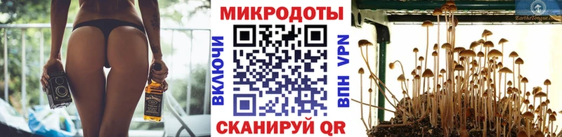 omg рабочий сайт  Моздок  Псилоцибиновые грибы Psilocybe 