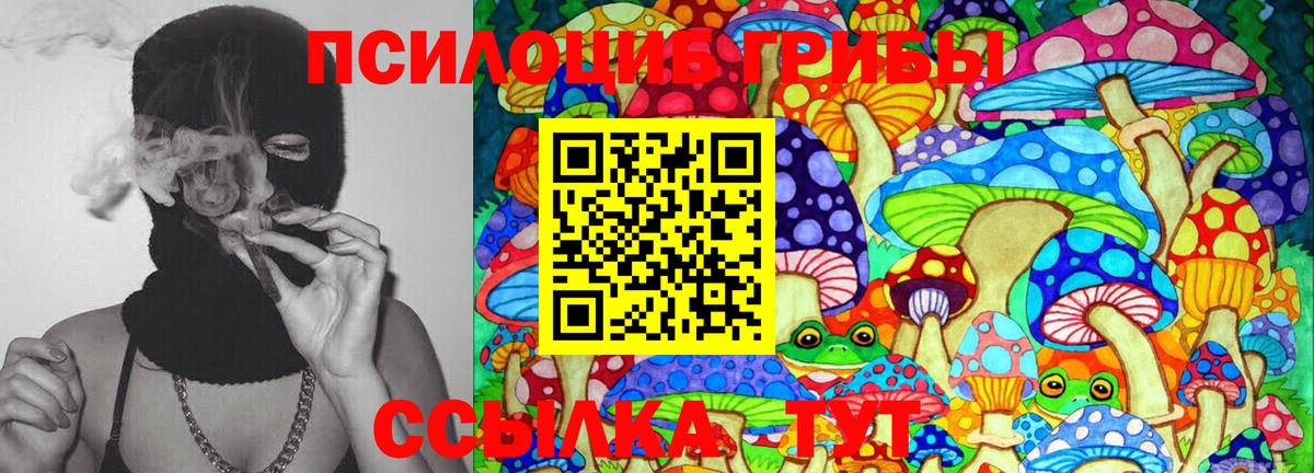 Псилоцибиновые грибы ЛСД  Моздок 