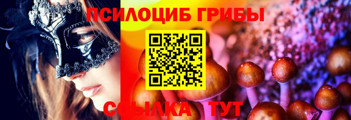 Моздок  Галлюциногенные грибы GOLDEN TEACHER  Вход с VPN 